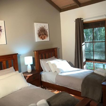 Day Dream Cottage Halls Gap Bagian luar foto